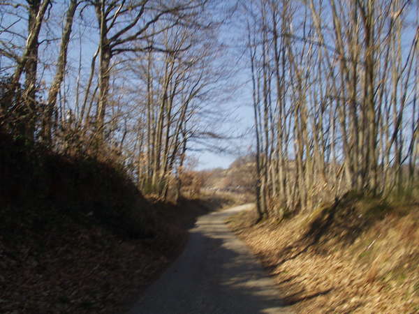 fichier 20080210_1327_002cv_route_chemin_de_toutes_aures-0.jpg