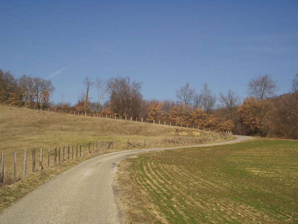 fichier 20080210_1329_002cv_route_chemin_de_toutes_aures-0.jpg