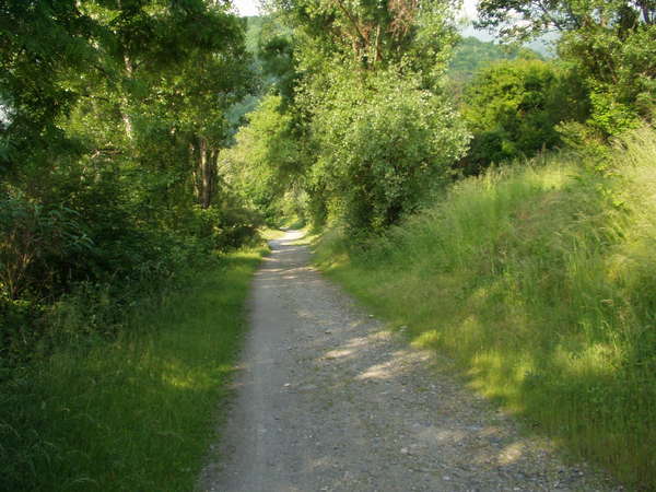 fichier 20080522_0830_pc_route_chemin-0.jpg