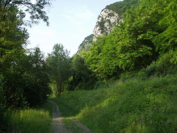 fichier 20080522_0833_pc_route_sous_vercors-0.jpg