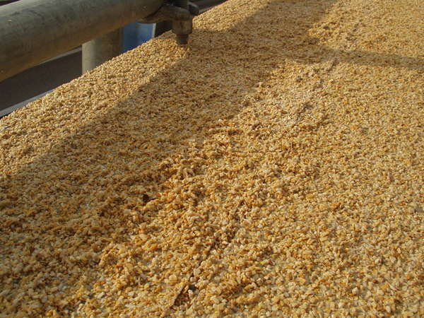 fichier 20080630_0847_001echaffaudage_poussieres-0.jpg