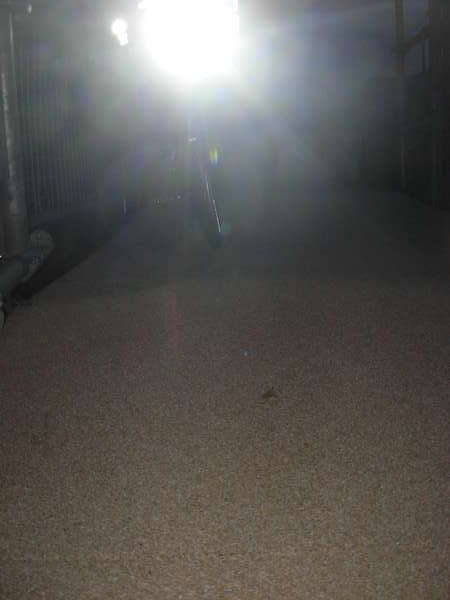 fichier 20091007_1934_003pc_route_echaffaudage_provisoire_v2_nouveau_revetement-0.jpg