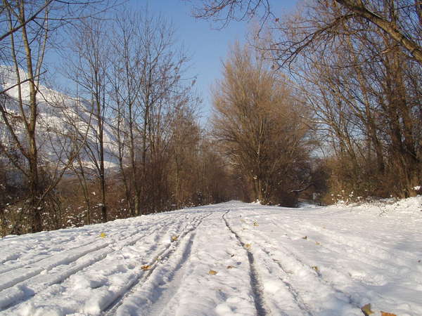 fichier 20100105_1041_003pc_route_neige-0.jpg