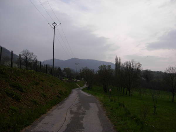 fichier 20080412_0820_002rando_coteaux_tullins_cv_route_apres_cras-0.jpg