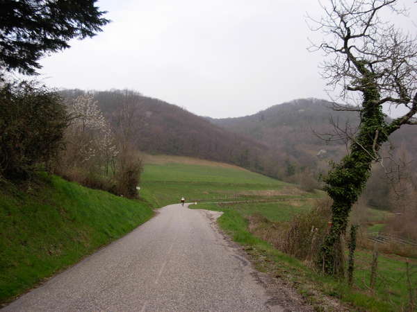 fichier 20080412_0828_002rando_coteaux_tullins_d154a_route-0.jpg