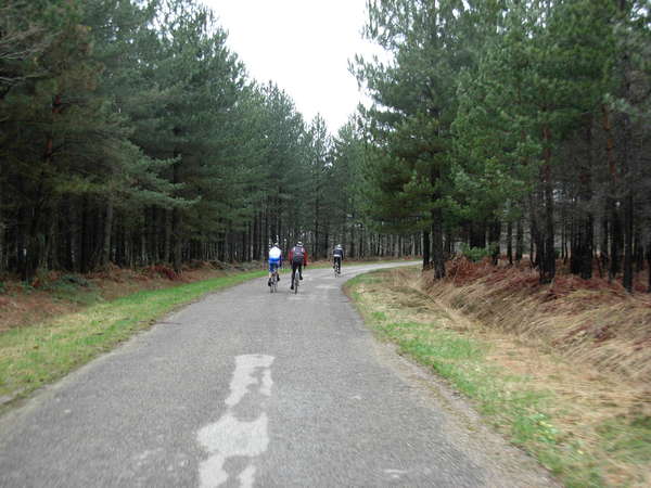 fichier 20080412_1052_rando_coteaux_tullins_d156c_route_vers_marnans-0.jpg