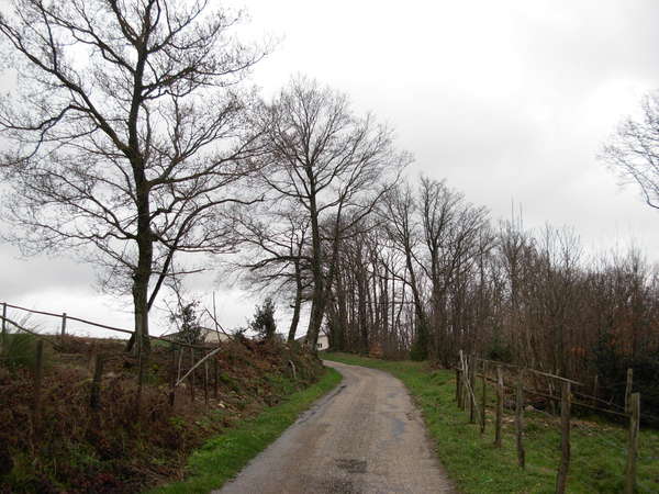 fichier 20080412_1112_rando_coteaux_tullins_d156c_route-0.jpg