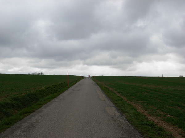 fichier 20080412_1116_001rando_coteaux_tullins_d156c_route-0.jpg