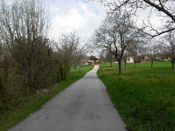 fichier 20080412_1214_rando_coteaux_tullins_d20g_route_vers_murinais-0.jpg