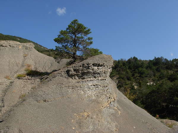 fichier 20080920_1416_001d49_route-0.jpg