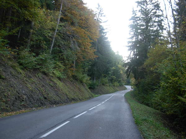 fichier 20081010_1734_002d88_route-0.jpg