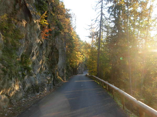fichier 20081010_1818_003d88_route-0.jpg