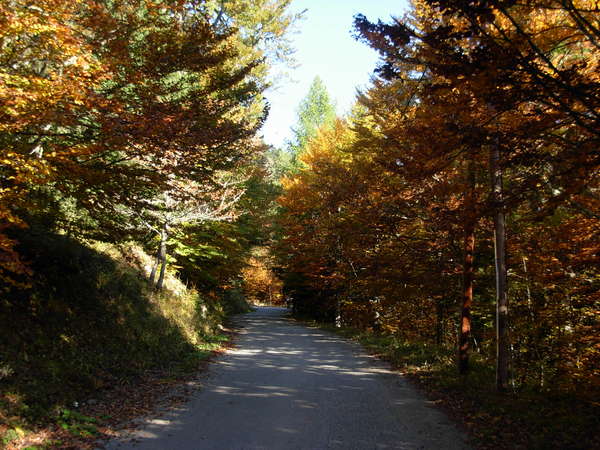 fichier 20081011_0951_003cv_route-0.jpg