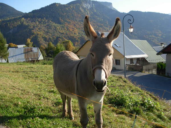 fichier 20081011_1709_001d99_route-0.jpg