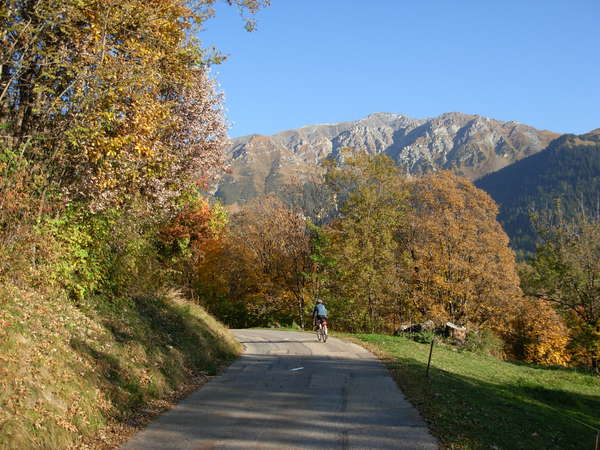 fichier 20081011_1723_005d99_route-0.jpg