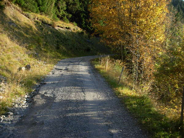 fichier 20081011_1737_001cv_route-0.jpg