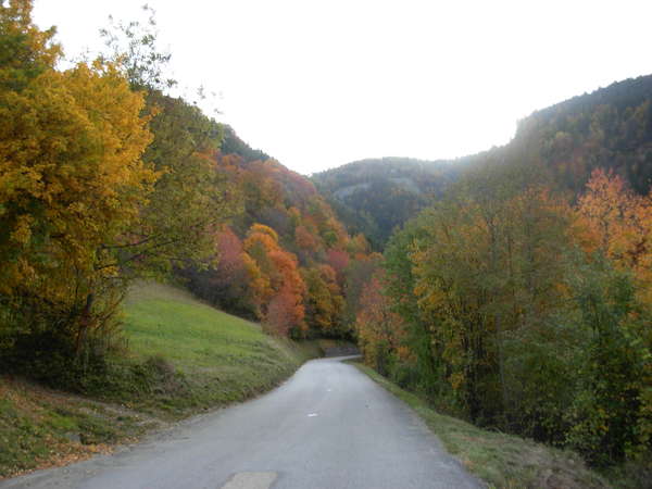 fichier 20081012_0859_001d110_route-0.jpg