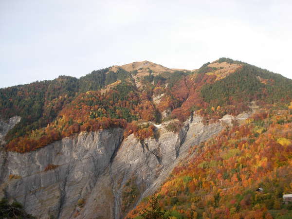 fichier 20081012_0911_002d110_route-0.jpg