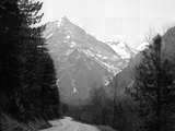 fichier 000026_20090405_1256_003d530_route_isabelle-0.jpg