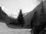 fichier 000042_20090405_1305_005d530_route-0.jpg