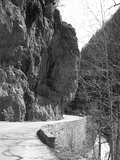 fichier 000063_20090405_1326_002d530_route_isabelle-0.jpg
