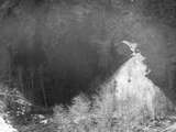 fichier 000065_20090405_1326_004d530_route_coulee_avalanche-0.jpg