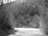 fichier 000090_20090405_1334_002d530_route_virage01_gauche-0.jpg