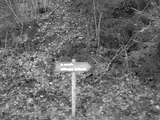 fichier 000094_20090405_1335_004d530_route_panneau-0.jpg