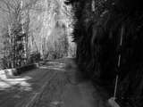 fichier 000095_20090405_1336_001d530_route-0.jpg