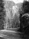 fichier 000096_20090405_1336_002d530_route-0.jpg