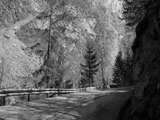 fichier 000100_20090405_1337_004d530_route-0.jpg