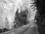 fichier 000101_20090405_1337_005d530_route_isabelle-0.jpg