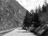 fichier 000106_20090405_1341_001d530_route_isabelle-0.jpg