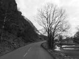 fichier 000201_20090405_1414_001d530_route-0.jpg