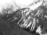 fichier 000231_20090405_1426_006d530_route-0.jpg