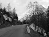 fichier 000239_20090405_1430_001d530_route-0.jpg
