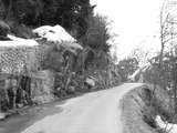 fichier 000250_20090405_1436_001d530_route-0.jpg