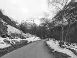 fichier 000290_20090405_1452_003d530_route-0.jpg