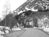 fichier 000299_20090405_1454_003d530_route_les_etages-0.jpg