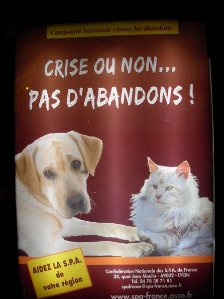 fichier 20090617_0505_002diagonale_bs_brest_affiche_spa_crise_pas_abandons-0.jpg