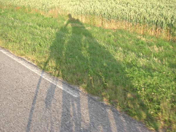 fichier 20090619_2034_002diagonale_bs_d960_route_fin_montee_228km_elev_1091m_ombre_tandem-0.jpg