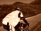 fichier 20090719_0800_003d902_route_XXXX-0.jpg