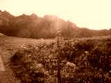 fichier 20090719_0809_002d902_route_borne_km15_2200m_8pc-0.jpg
