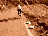 fichier 20090719_0813_002d902_route_cyclo_trace_neige-0.jpg