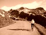 fichier 20090719_0816_002d902_route_XXXX-0.jpg