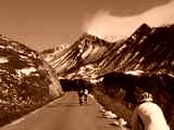 fichier 20090719_0817_002d902_route_XXXX-0.jpg