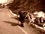 fichier 20090719_0843_001d902_route_photographe_hobby-one-0.jpg