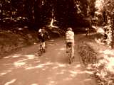 fichier 20090719_1249_d80_route_XXXX_1X64_meylan-0.jpg
