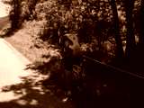 fichier 20090719_1254_001d80_route_XXXX-0.jpg