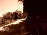 fichier 20090719_1259_002d80_route-0.jpg